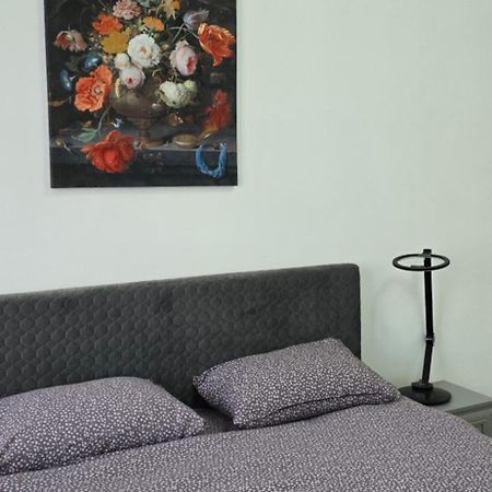 Casa Grande Apartment Fagaras Luaran gambar